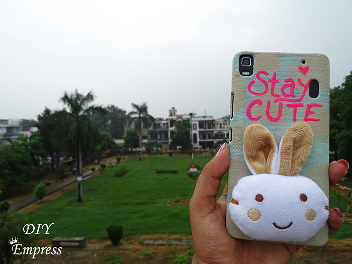 The cutest ever post raksha bandhan DIY phone case